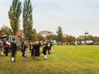 Dionysimarkt-2023_002.jpg